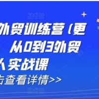 AI闪电做外贸训练营(更新25年3月)，从0到3外贸万人实战课