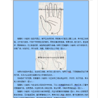 [手相]手相智慧线图解大全DOC文档