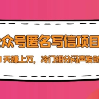 公众号匿名写信项目，30 天赚上万，冷门细分闷声发财