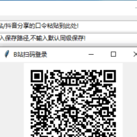 抖音B站视频下载器V1.0(附源码)