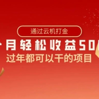 过年都可以干的项目，快手掘金，一个月收益 5000+，简单暴利