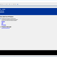 对32位可执行程序进行反编译的软件 PE Explorer v1.99 R5，PE.Explorer.v1.99.R6