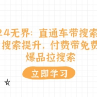 2024无界：直通车 带搜索玩法，搜索提升，付费带免费，爆品拉搜索