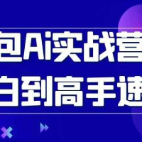 豆包Ai实战营从小白到高手速成