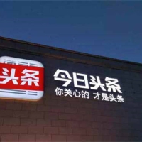 今日头条创作项目，这4个适合新手的领域