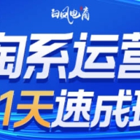 白凤电商·淘宝系运营21天速成班（更新11月）