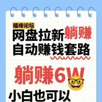 网盘拉新自动赚钱套路，几元的资料躺赚6W+，小白也可以抄作业！