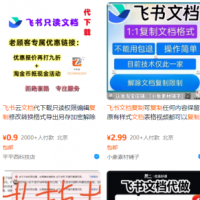 飞书文档复制大揭秘，有人利用这个方法收入8000+，附插件