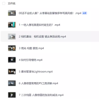 零基础也能学：多风格人像摄影系统课