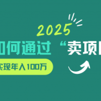 2025年如何通过“卖项目”实现年入100w