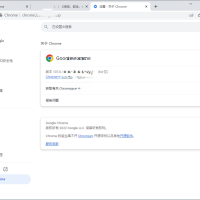 Google Chrome v150.0.7871.187绿色便携版