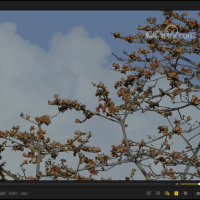 PotPlayer v1.7.22582绿色版