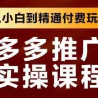 拼多多推广实操课程 从小白到精通付费玩法