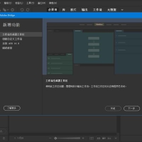 Adobe Bridge 2026简称BR(v16.0.2.23.00)破解版
