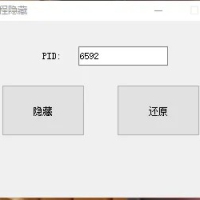 脚本辅助进程隐藏工具+防检测+防封号任务管理器进程隐藏