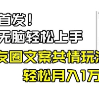 小白轻松无脑上手，朋友圈共情文案玩法，月入 1W+