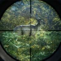 猎人：荒野的召唤/theHunter: Call of the Wild