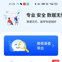 聊天恢复 语音恢复 登录即会员