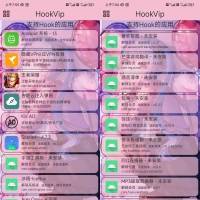 HookVip v4.0.6 多软件破解工具
