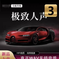 2025新版【极致人声】全HIFI发烧翻唱车载音乐