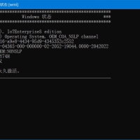 Microsoft系统激活脚本(MAS中文版)v3.0汉化版