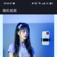 html随机视频网站源码内置5接口，自动连播