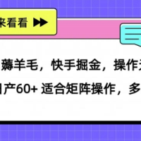 薅羊毛【快手掘金】操作无难度 单机日产30+ 适合矩阵操作，多劳多得
