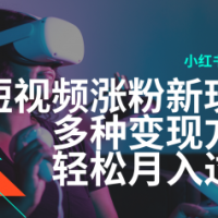 最新风口蓝海项目，小红书AI美女短视频涨粉玩法，多种变现方式轻松月入过万