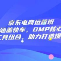 京东电商运营班：涵盖快车，DMP核心及各工具组合，助力打造爆款商品