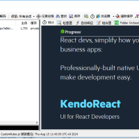 fiddler5绿色版 HTTP/HTTPS网络抓包工具