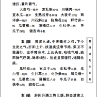 中医古籍珍稀抄本精选--费绳甫先生医案PDF文档