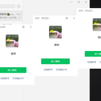 微信Windows版 v4.1.1.7 多开&消息防撤回正式版绿色版x64位（9.20更新）