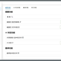 Snow Shot(截图工具)v0.1.3文字识别翻译及AI