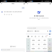 Deepeeek前瞻版-最新更新解决已知bug
