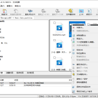 数据恢复R-Studio v9.5.191645便携版