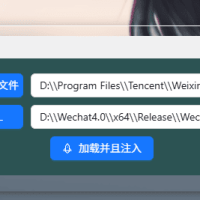 Dll注入器 x64位版本