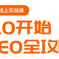 若凡老师谷歌SEO实操课 逐步进阶到大神