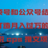 视频号和公众号结合打造月入过万的小说 CPS 推文项目