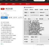 163MusicLyrics 歌词获取下载工具v7.20