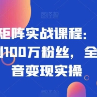 抖音矩阵实战课程：新手从 0 到 100 万粉丝，全套抖音变现实操