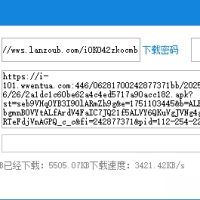 蓝奏网盘最新协议解析下载工具，秒解析，自动下载！