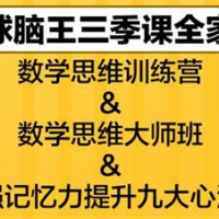 最强大脑杨易思维训练营