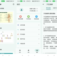 安卓人体穴位图解v3.2.1轻松了解身体奥秘