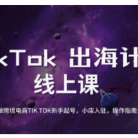 TikTok跨境电商新手起号与运营全攻略0基础