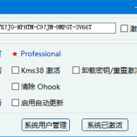 AmOEM(windows/office激活辅助工具) v2.2 中文绿色版