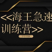 子轩团队《海王急速训练营》两性情感课
