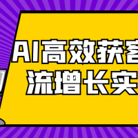 AI高效获客工作流增长实战课