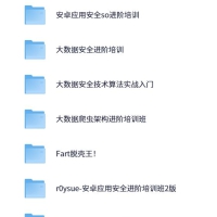 r0ysue(肉丝)安卓逆向全系列课程153G