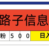 最新《1000个野路子信息差》新玩法，文字视频，单个作品暴粉5000+，小白轻松上手