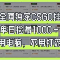 CSGO挂机，单日捡漏1000+，不用电脑，不用养号